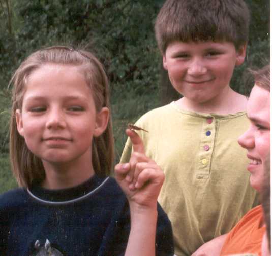 die Schmetterlinge werden in die Freiheit entlassen